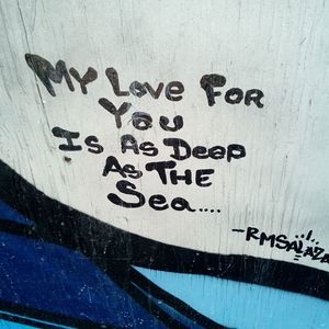 Meet your Posher, Hawk's